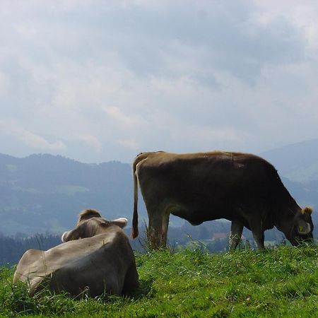 Landhotel Herzberger garni Zimmer&Ferienwohnungen Scheidegg Exterior foto